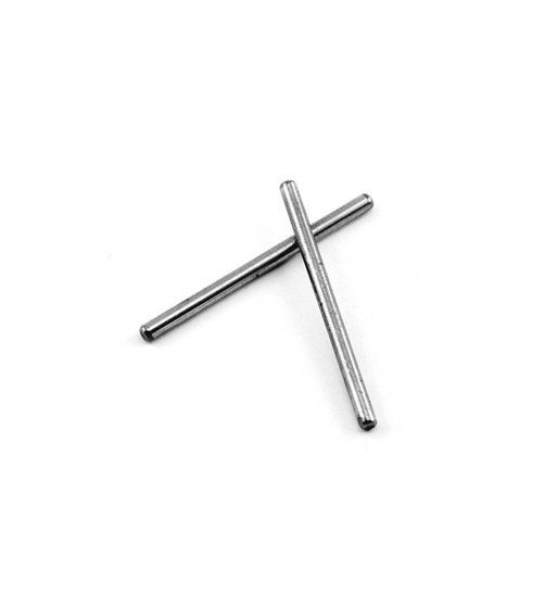 Hinge pins lower rear (2)