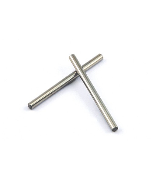 Hinge pins upper front (2)