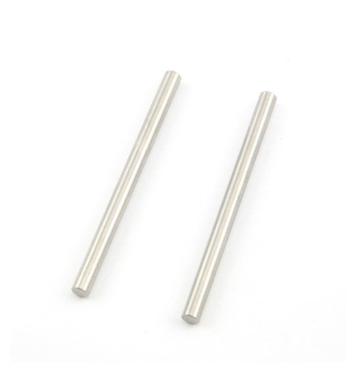 Hinge pins lower rear (2)