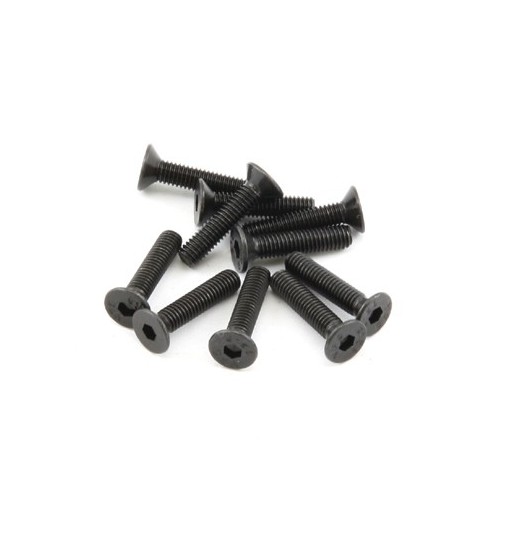 Hex. countersunk screw M3x14 (10)