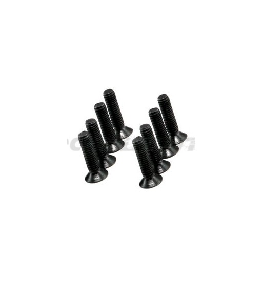 Hex. countersunk screw M3x12 (10)
